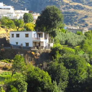 3924, Fabulous Town House on the Edge of the Village